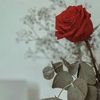khalud028