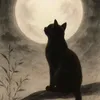 TNTuyền🖤