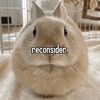 mudkip2701