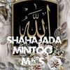 m.s_mintoo_m.s