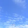 kamituwoo0
