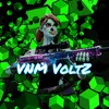 vnm_voltz