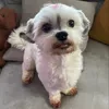 lunavandenb