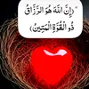 Cadar Mohamed535
