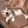 .fanousb