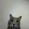 czuwl