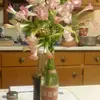 singlemomlane5
