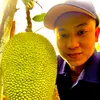 thinhnguyen8893