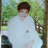 jutt_saab_1524