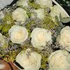 eppic_997
