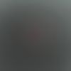 usernydnwb8fs5