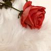 user871287616067