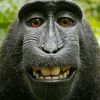 mr_donkey711