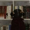zm_jko