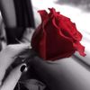 bandary_911