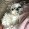 rachelsleee