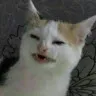 loathsomegoblin