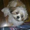 anonimouse54321