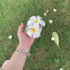 myxpam