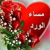 hanimostafa98
