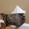ren_ducks