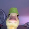 theyellowduckk