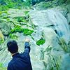 pukhtoon.9990278