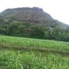 abdiwahaabaxmedin