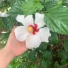 vandy_2802
