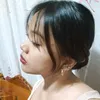 luplc.ph