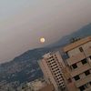 ghinamdalal