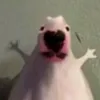 celestehrslf