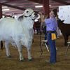 stockushow_2021