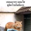 ouan_bd