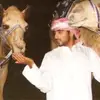 ao7dmo7
