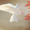 ba_be_662