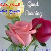 user233399140246718