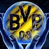 normbvb