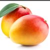 mango_officiai