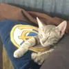 cr7iiil2