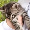 xilli_1l0