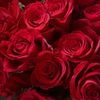 abeer