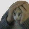 mewzingmymind