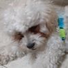 fluffster99
