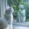 yawn._zzn09
