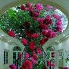 riyaz.ahmed.12.ri