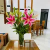 anhlinh770