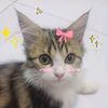 namtan_wrp