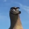 juanmxgallego