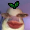 _gigigiana